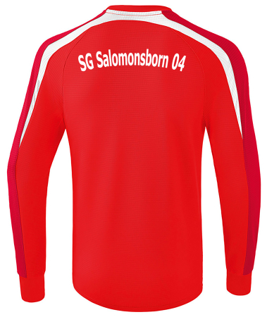 Sweatshirt - SG Salomonsborn 04