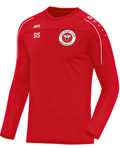 Sweatshirt - JSC Saalfeld