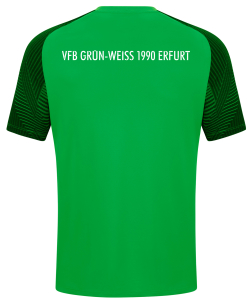 T-Shirt | JAKO Performance - VfB Grün-Weiß 1990 Erfurt