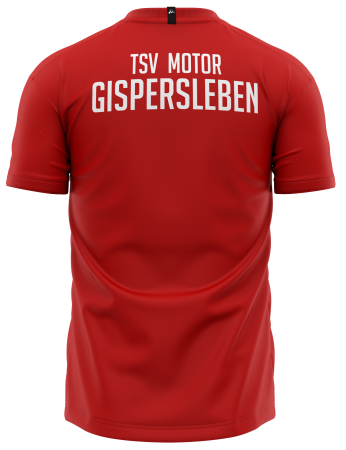 Trikot | CRAFT | Progress Jersey Graphic | rot  - TSV Motor Gispersleben