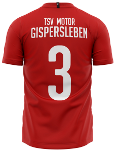 Trikot | CRAFT | Progress Jersey Graphic | rot  - TSV Motor Gispersleben