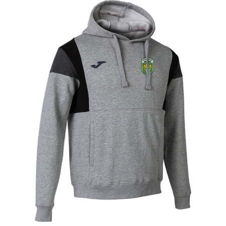 Kapuzensweatshirt | Herren | melange-grau | SV Fortuna 49...