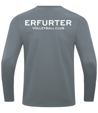 Sweat Kinder/Herren | JAKO Power grau | Erfurter...