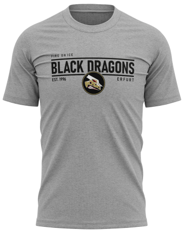 T-Shirt | unisex | fire on ice | heather grey | Black...
