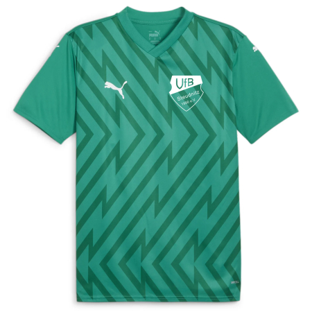 Trikot Herren | PUMA teamGlory | grün | VfB...