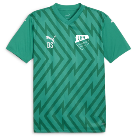 Trikot Herren | PUMA teamGlory | grün | VfB Steudnitz 1990 e.V.
