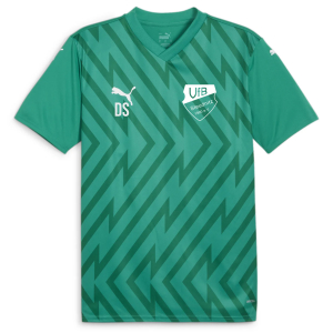 Trikot Herren | PUMA teamGlory | grün | VfB Steudnitz 1990 e.V.