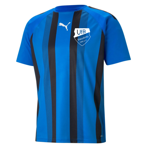 Trikot Herren | PUMA teamLiga striped | blau/schwarz | VfB Steudnitz 1990 e.V.