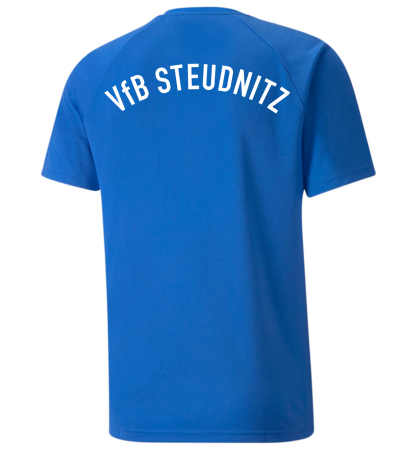 Trikot Herren | PUMA teamLiga striped | blau/schwarz |...