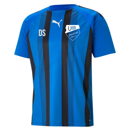 Trikot Herren | PUMA teamLiga striped | blau/schwarz | VfB Steudnitz 1990 e.V.