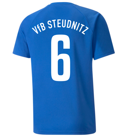 Trikot Herren | PUMA teamLiga striped | blau/schwarz | VfB Steudnitz 1990 e.V.