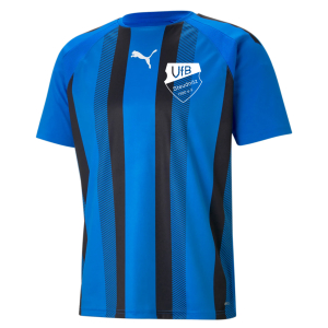 Trikot Herren | PUMA teamLiga striped | blau/schwarz | VfB Steudnitz 1990 e.V.
