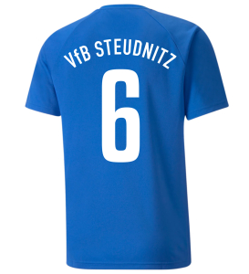Trikot Herren | PUMA teamLiga striped | blau/schwarz | VfB Steudnitz 1990 e.V.