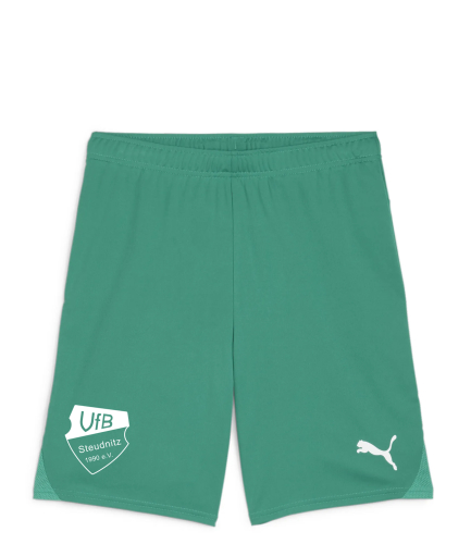 Short Herren | PUMA teamGoal | grün | VfB Steudnitz 1990 e.V.