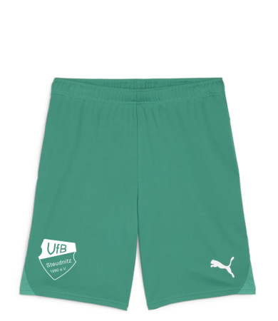 Short Herren | PUMA teamGoal | grün | VfB Steudnitz...