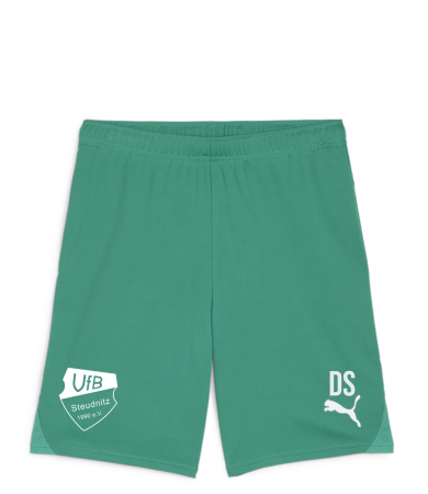 Short Herren | PUMA teamGoal | grün | VfB Steudnitz...