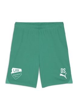 Short Herren | PUMA teamGoal | grün | VfB Steudnitz 1990 e.V.
