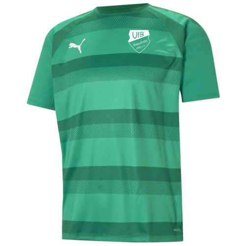 Aufwärmshirt Herren | PUMA teamVision jersey | pepper green | VfB Steudnitz 1990 e.V.