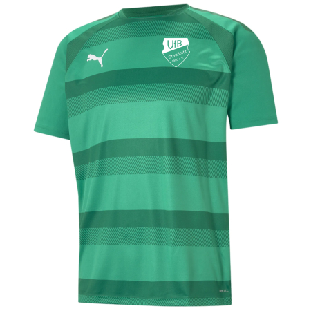 Aufwärmshirt Herren | PUMA teamVision jersey |...