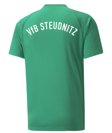 Aufwärmshirt Herren | PUMA teamVision jersey |...