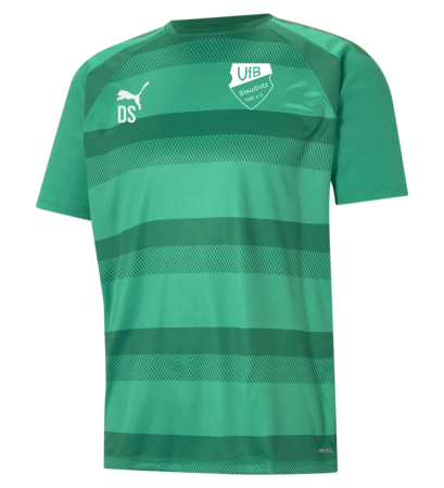 Aufwärmshirt Herren | PUMA teamVision jersey | pepper green | VfB Steudnitz 1990 e.V.