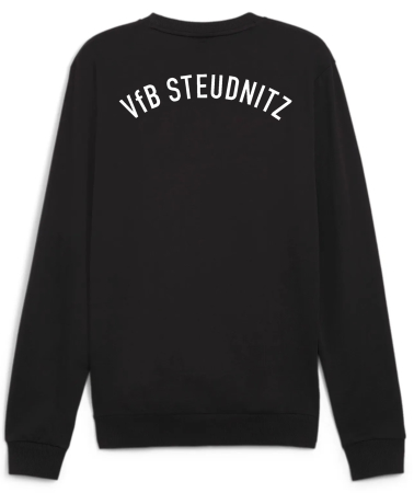 Sweatshirt Herren | PUMA teamGoal | VfB Steudnitz e.V.