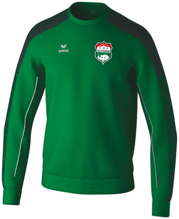 Sweatshirt | Erima Evo Star | Kinder/Herren | SV Am...