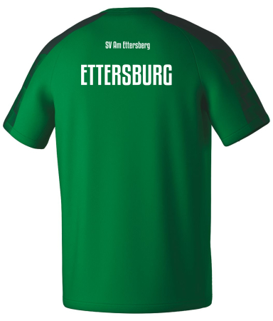 T-Shirt | Erima Evo Start | Kinder/Herren | smaragd/pine...