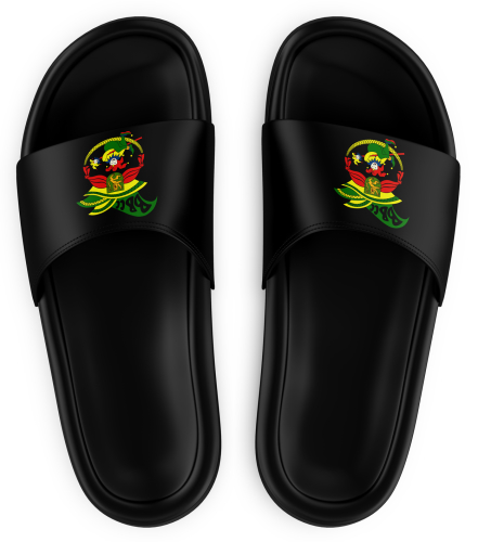 Badeschuhe | Logo | schwarz | Bad Blankenburger Carneval Club