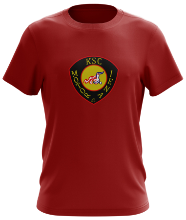 T-Shirt für Kinder/Herren | rot | Logo groß |...