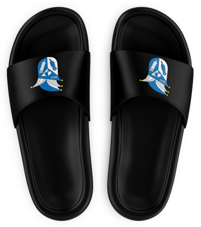 Badeschuhe | Logo | schwarz | Großwechsunger...