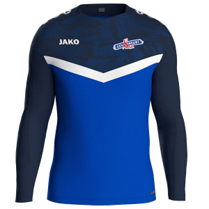Sweatshirt für Kinder/Herren | JAKO Iconic | SSV Erfurt Nord