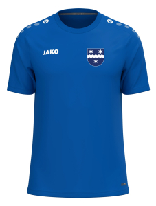 T-Shirt | JAKO One | Kinder/Herren | royal | Wipperdorfer Carneval Club e.V.