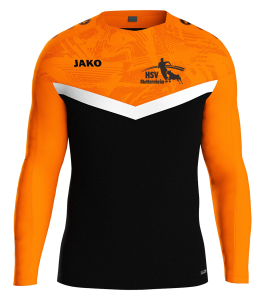 Sweatshirt  für Kinder/ Herren | JAKO Iconic | schwarz/neonorange | Hundesportverein Stotternheim e.V.