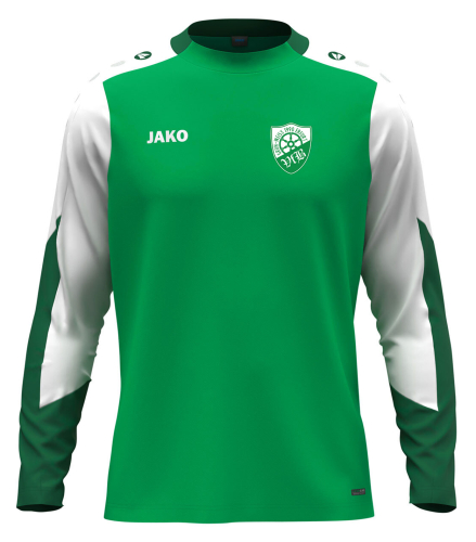Longsleeve | JAKO Dynamic | Kinder/Herren | grün/weiss/dunkelgrün | VfB Grün-Weiß 1990 Erfurt