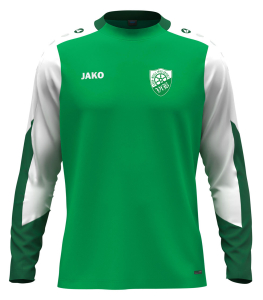 Longsleeve | JAKO Dynamic | Kinder/Herren | grün/weiss/dunkelgrün | VfB Grün-Weiß 1990 Erfurt